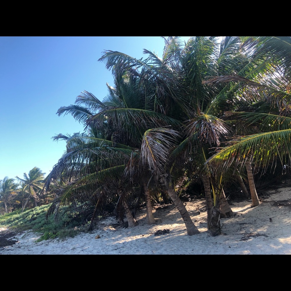 Meet your Posher, Raye